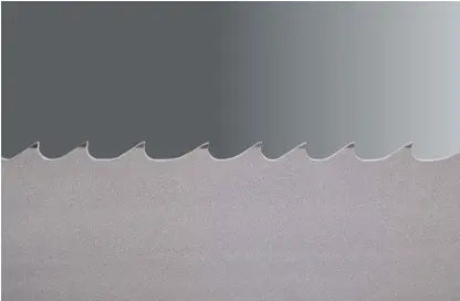 Pílový Pás Duoflex M42 /Easyflex/