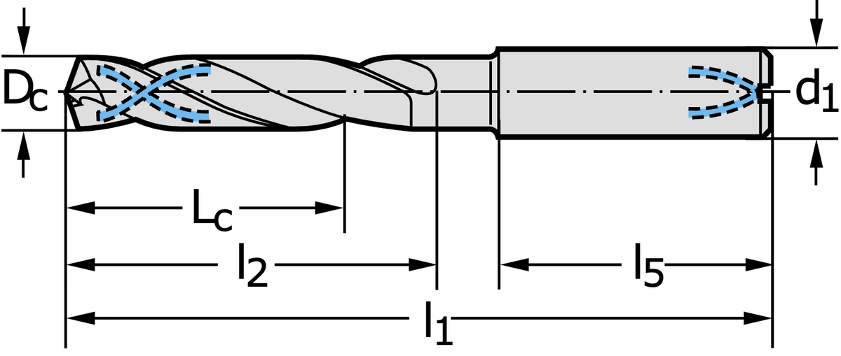 Walter DC150-05-08.100A1-WJ30RE – rozmerový výkres