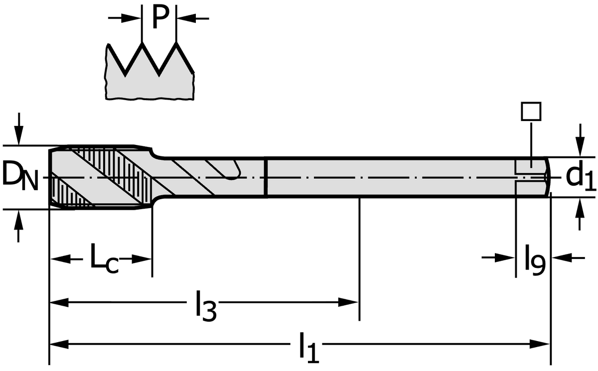 Walter TC115-M12X1.25-L0-WY80AA – rozmerový výkres