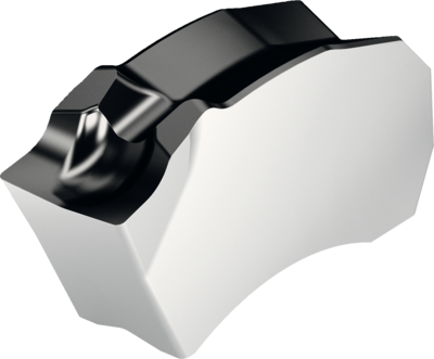 Walter SX-3E300N02-CF5 WSM43S insert – detail view